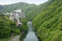 大川荘日式旅馆