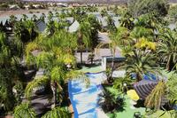 爱丽斯泉沙漠棕榈度假酒店