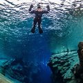 冰岛 雷克雅未克 5.5小时游玩 丝浮拉浮潜体验+辛格韦德利国家公园一日游（雷市酒店接送+专业英文导游+齐全装备）