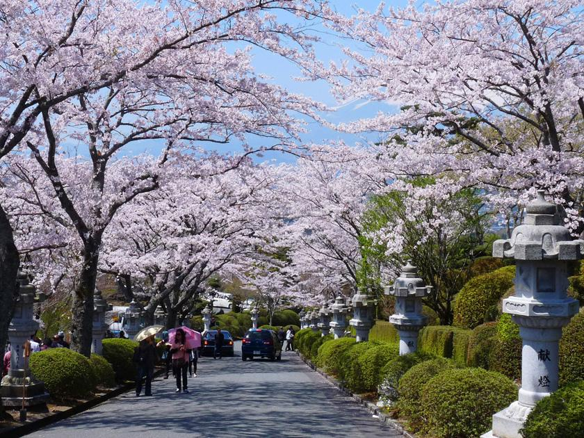 穷游商城 广州 澳门 香港直飞东京 名古屋 福冈 冲绳4 6天含税机票 全日空 澳门航空 特价机票预订 打折促销优惠 穷游网