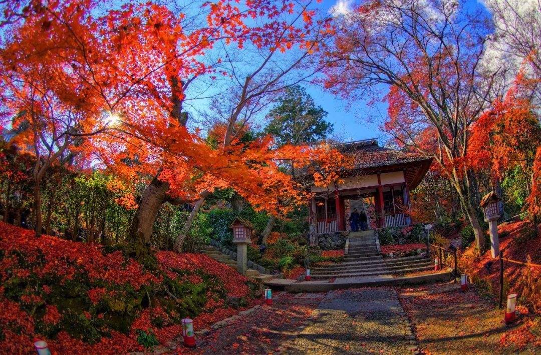 穷游商城 京都岚山天龙寺 东山东福寺赏红叶一日游 特价城市玩乐预订 打折促销优惠 穷游网