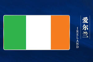 爱尔兰个人商务签证单次入境（北京陪签）