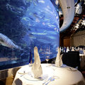 阿联酋迪拜帆船酒店 AL MAHARA浪漫海底餐厅/天空餐厅/JUNSUI餐厅任选 （网红打卡+奢华高逼格）