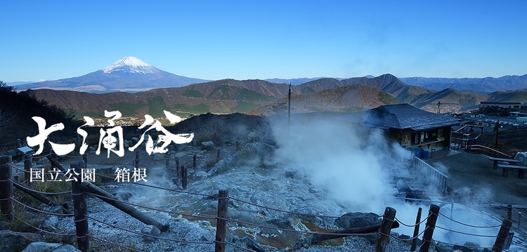 穷游商城 日本东京箱根大涌谷山中湖忍野八海河口湖富士山五合目一日游 特价城市玩乐预订 打折促销优惠 穷游网