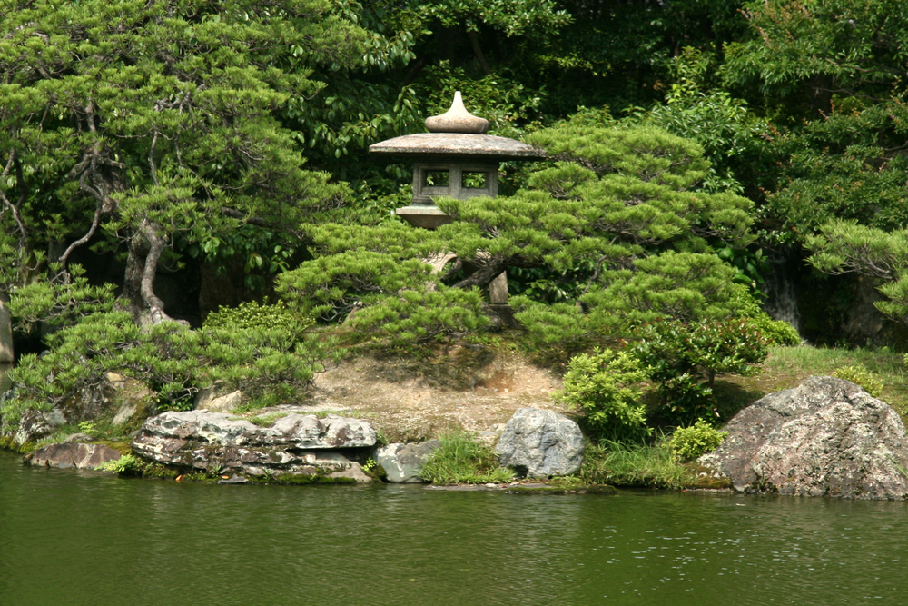 穷游商城 日本京都岚山枫叶半日游 庭池赏枫 嵯峨御所大觉寺 竹仙精进料理 大龟山宝严院 观光空调巴士 当地日语导游 1人 成团 特价城市玩乐预订 打折促销优惠