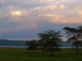 肯尼亚坦桑尼亚18日之旅[含动物大迁徙/乞力马扎罗和Zanzibar休闲]