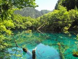 毕生难忘的四川之 成都 九寨 黄龙之旅