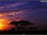 行游非洲——坦桑尼亚游记