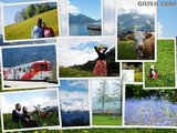 牵手去登阿尔卑斯山——2010年5月乘火车游瑞士（p6开始更新游记与美图）