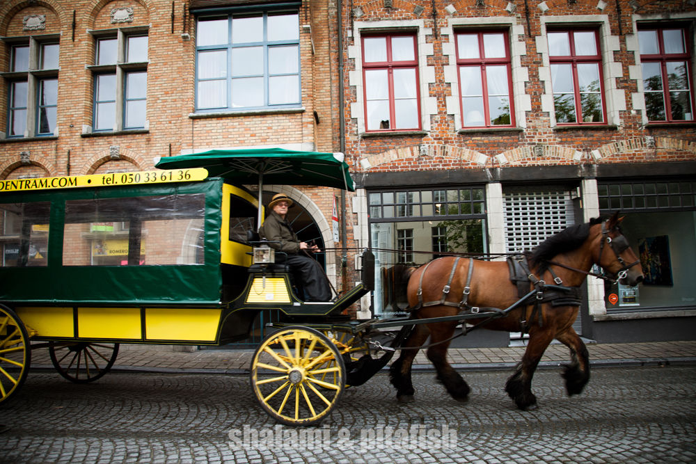 【荷兰 比利时 卢森堡经典十二日游】比利时行