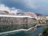 日本历史旅游系列（2）——信玄公祭