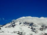 我的八千里路之雷尼尔雪山