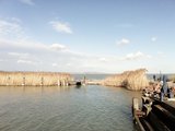 匈牙利著名的Balaton巴拉顿湖一游