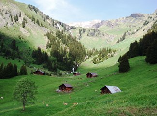 miumiu_c1844|104上海·米兰·威尼斯·博洛尼亚·伊莫拉·里米尼