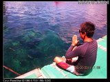 帕劳(帛琉)之行游记—浮潜的天堂【一】