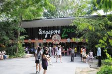 自由行走新加坡之新加坡动物园