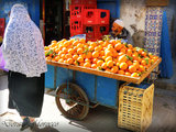 【更新】看到橙子就想起摩洛哥-之11日游记（照片＋小Tipp）