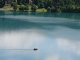 我眼里的小家碧玉----斯洛文尼亚的布莱德湖