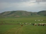 今夜，我们在蒙古利亚，只有旷野、群山、骏马 （全文完！）