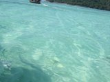 鲜少人知的世界潜水圣地，泰国素林岛攻略