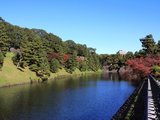 日本初体验（东京、京都、名古屋、大阪6日行）