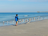Florida^蓝色圣诞节@10天自驾亲子游(白沙滩，贝壳岛，大沼泽，Key West，迈阿密)全文完