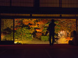 （百万点击量！）2014年11月大阪京都8晚9天红叶季深度游---超详细信息+700张照片