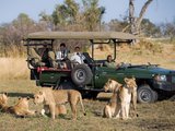 回复坦桑、肯尼亚safari大家关心的几个问题