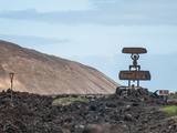 2015年1月，兰扎罗特(Lanzarote)之祖孙三代同游光秃秃的火山岛