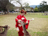 〓〓和服与樱花❀の日本赏味行〓〓  京阪神奈河口湖东京14日 （超详细和服攻略） 10本电子书网盘自取