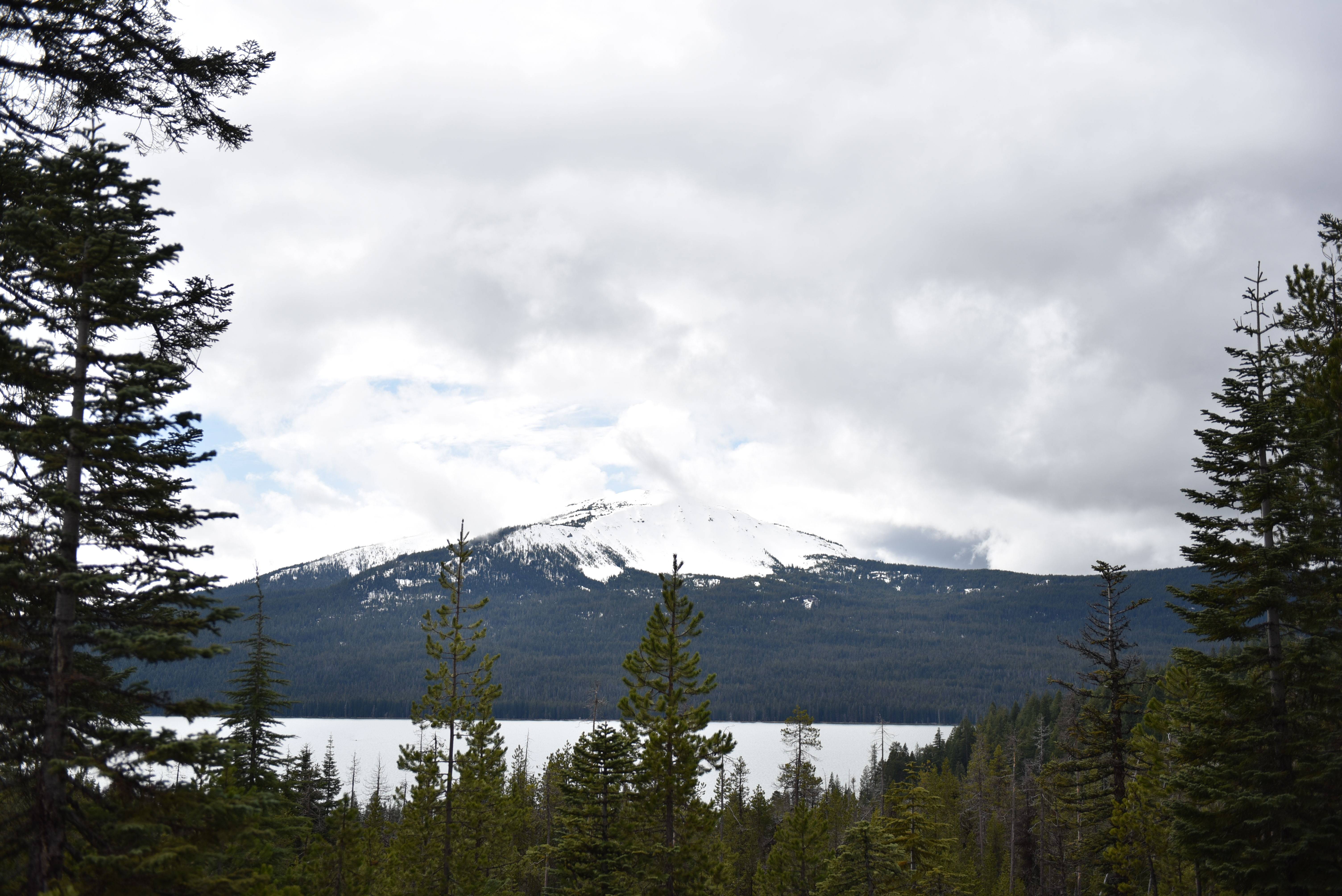 第一次美国自驾游 旧金山出发-波特兰-西雅图 "一路向北"沿途的风景最
