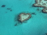 不看寻常礁-三度游走大堡礁（艾丽海滩+圣灵群岛+白天堂岛+汉米尔顿岛+直升飞\水飞）全文完
