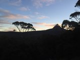 Wild Planet S1 - The Overland Track, Tasmania