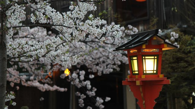 白川南通景点观光攻略 白川南通地址 白川南通门票查询预订 穷游网移动版