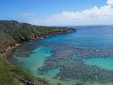 跳伞 浮潜 帆伞 冲浪 顺风车--女汉子的夏威夷之旅