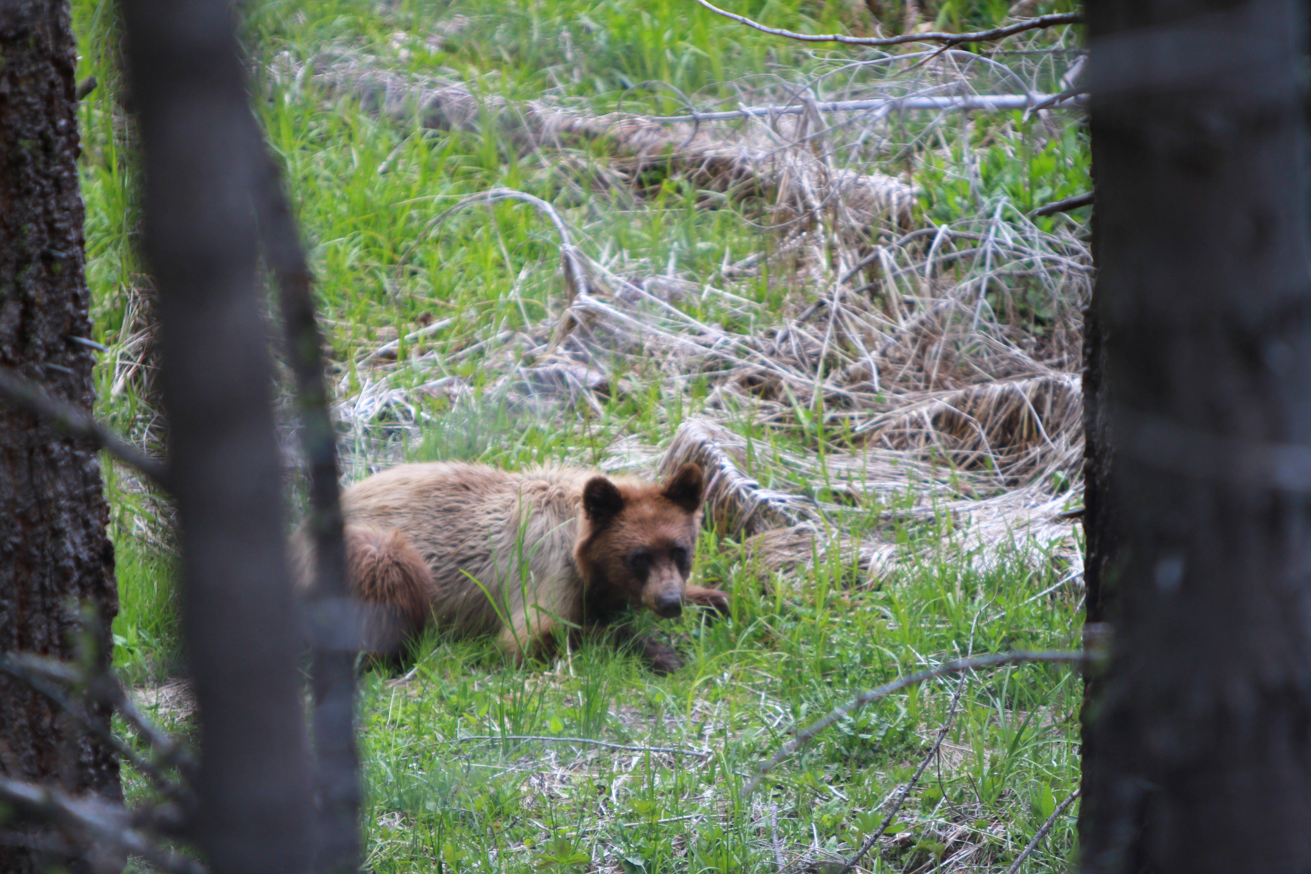 自驾优胜美地红衫公园死亡谷
