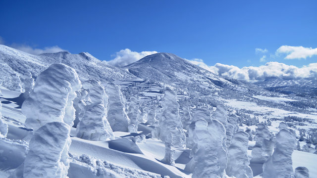 八甲田 山