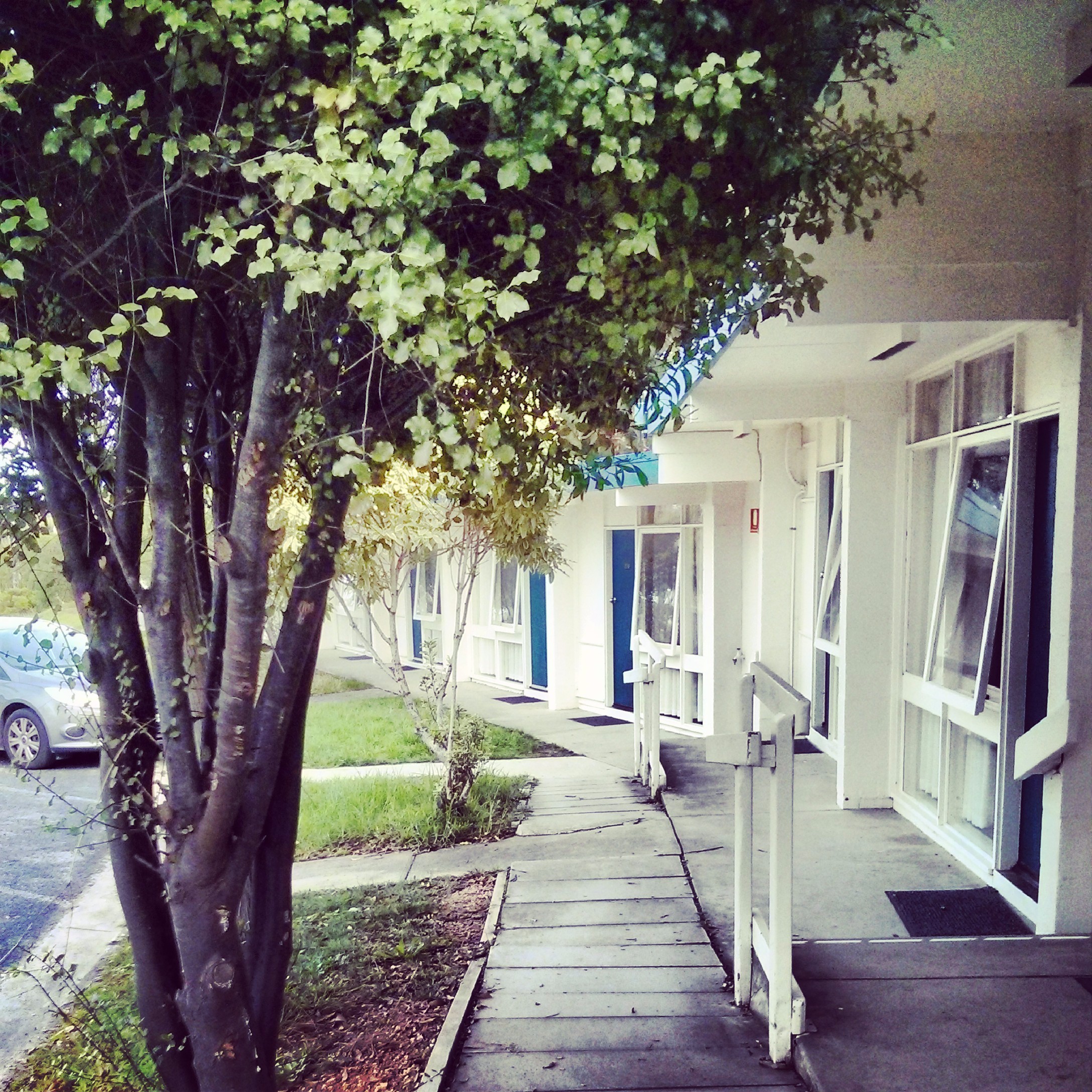 第一眼的太平洋 澳洲东海岸 黄金海岸 悉尼 墨尔本 大洋路 塔岛日 黄金海岸旅游攻略 澳大利亚 论坛 穷游网