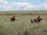 【敢问路在何方】369天环游世界【非洲篇】肯尼亚，坦桑尼亚（完）