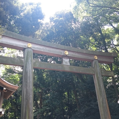 来也匆匆去也匆匆 一次受尽日本神明眷顾的旅程 日本 论坛 穷游网
