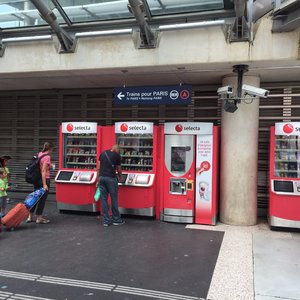 有一次去戴高乐机场接. -走路的鱼对巴黎迪士尼