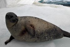 亲近自然在关西