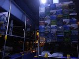 在南十字星座下——新西兰25天观鸟观星旅行记