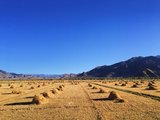 西藏●拉萨林芝日喀则珠峰十天完美旅程