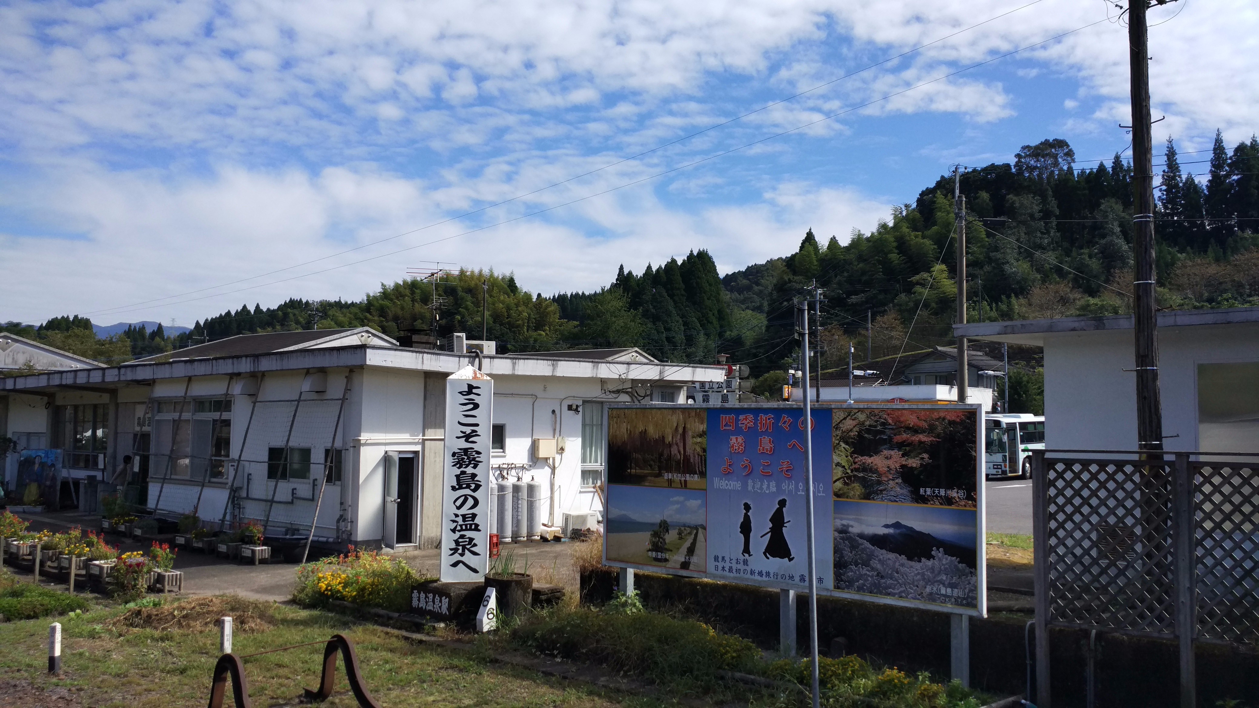 屋久岛游记 屋久岛旅行游记 屋久岛自由行游记攻略 穷游网