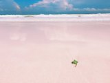 【周扒皮】巴哈马的那片姨妈粉——粉红沙滩大揭秘