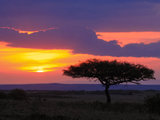 天堂肯尼亚：那些旷野上的自由