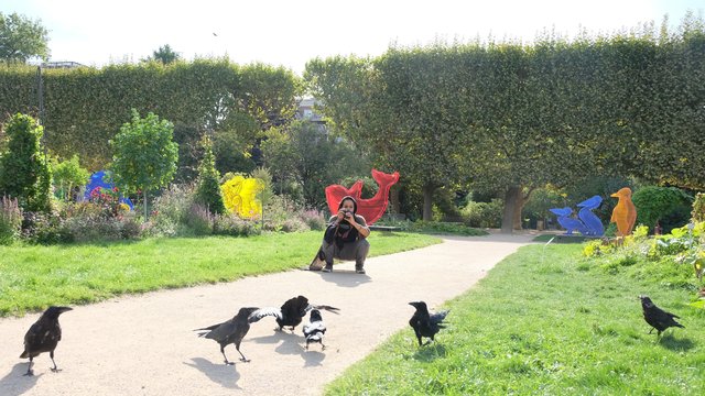 巴黎植物园景点观光攻略 巴黎植物园地址 巴黎植物园门票查询预订 穷游网移动版