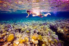 达哈卜潜水指南