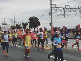 去日本跑马拉松！【大阪马拉松+神户马拉松】（更新完）